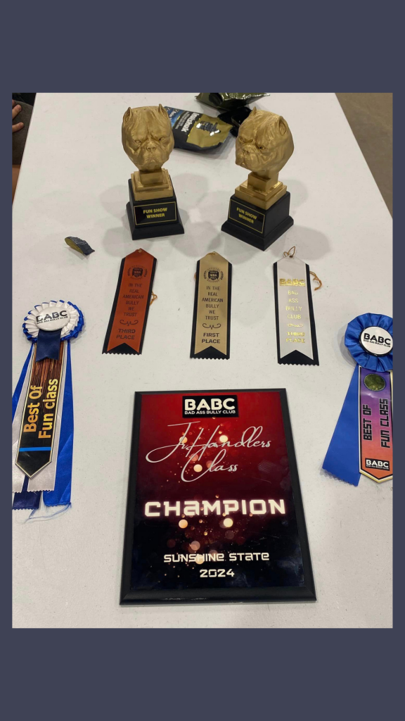 Table full of awards won by BerryBrook Bullies at the Osceola BABC Show 2024